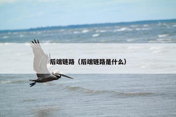 后端链路（后端链路是什么）