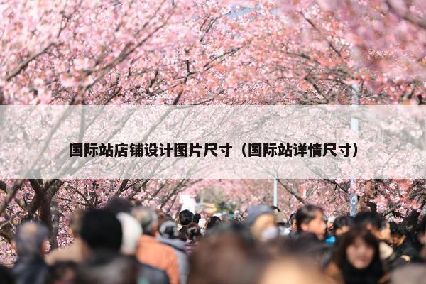 国际站店铺设计图片尺寸（国际站详情尺寸）