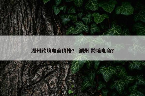 湖州跨境电商价格？ 湖州 跨境电商？