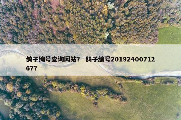鸽子编号查询网站？ 鸽子编号2019240071267？