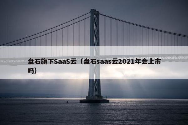 盘石旗下SaaS云（盘石saas云2021年会上市吗）