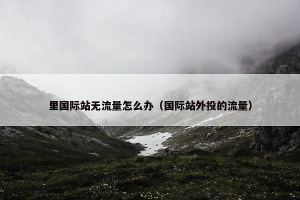 里国际站无流量怎么办（国际站外投的流量）