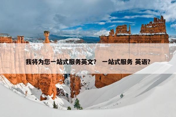 我将为您一站式服务英文？ 一站式服务 英语？