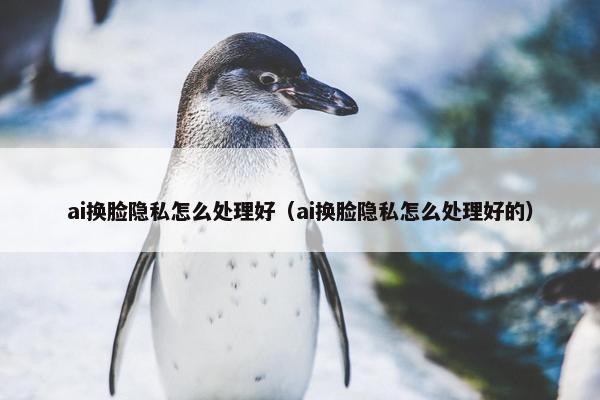 ai换脸隐私怎么处理好（ai换脸隐私怎么处理好的）
