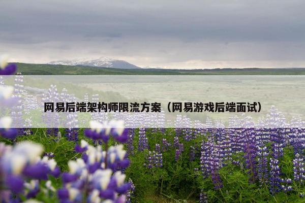 网易后端架构师限流方案（网易游戏后端面试）