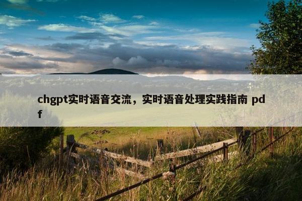 chgpt实时语音交流，实时语音处理实践指南 pdf