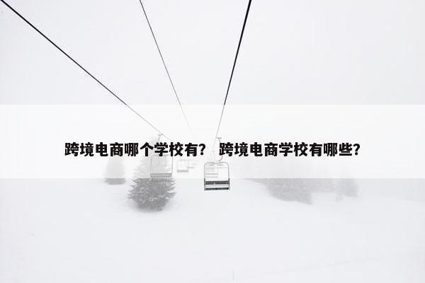 跨境电商哪个学校有？ 跨境电商学校有哪些？