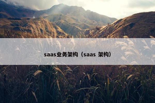 saas业务架构（saas 架构）