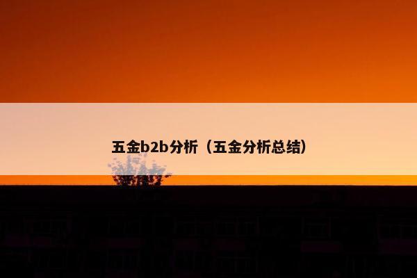 五金b2b分析（五金分析总结）