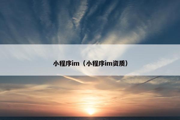 小程序im（小程序im资质）