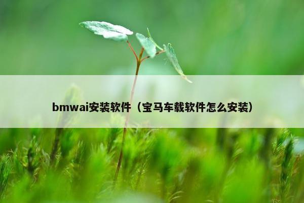 bmwai安装软件（宝马车载软件怎么安装）