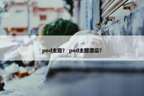 pod主题？ pod主题酒店？