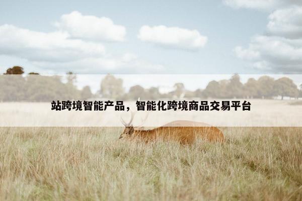 站跨境智能产品，智能化跨境商品交易平台