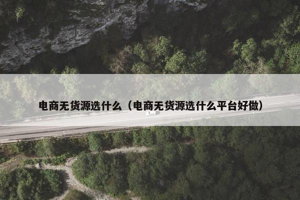 电商无货源选什么（电商无货源选什么平台好做）