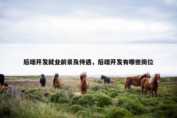 后端开发就业前景及待遇，后端开发有哪些岗位