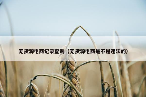 无货源电商记录查询（无货源电商是不是违法的）
