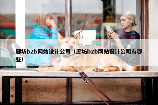 廊坊b2b网站设计公司（廊坊b2b网站设计公司有哪些）