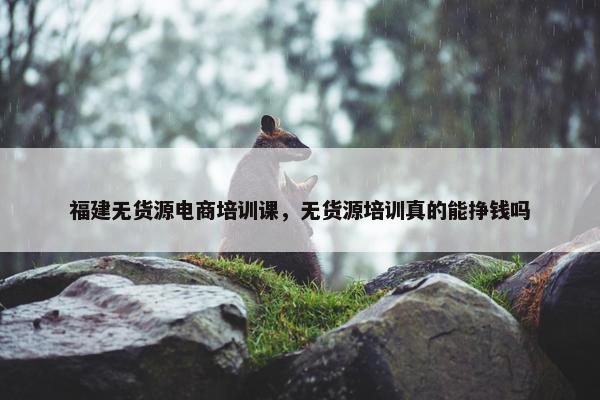 福建无货源电商培训课，无货源培训真的能挣钱吗