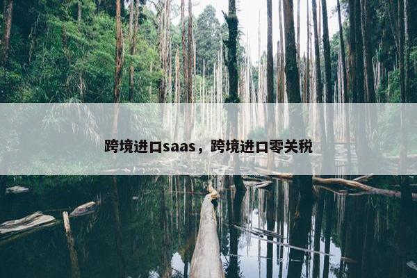 跨境进口saas，跨境进口零关税