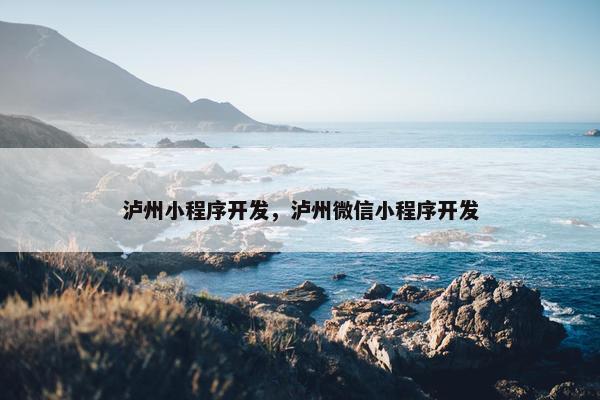 泸州小程序开发，泸州微信小程序开发