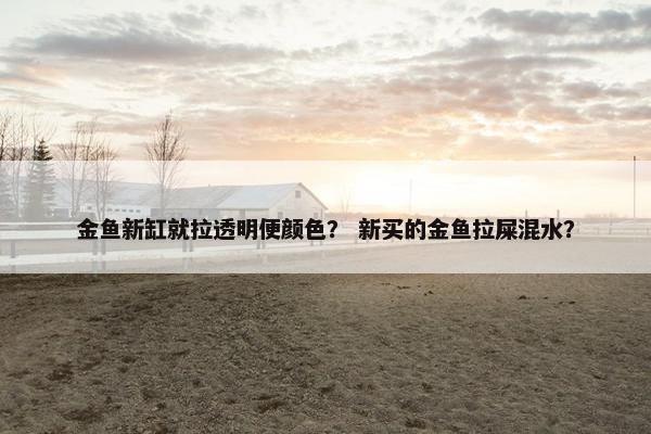 金鱼新缸就拉透明便颜色？ 新买的金鱼拉屎混水？