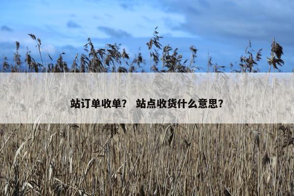 站订单收单？ 站点收货什么意思？