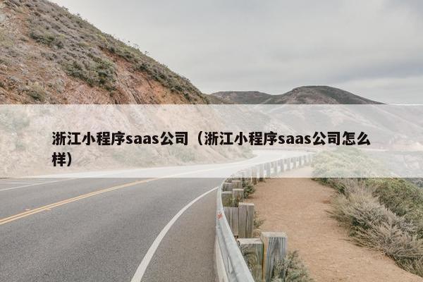 浙江小程序saas公司（浙江小程序saas公司怎么样）