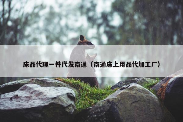 床品代理一件代发南通（南通床上用品代加工厂）