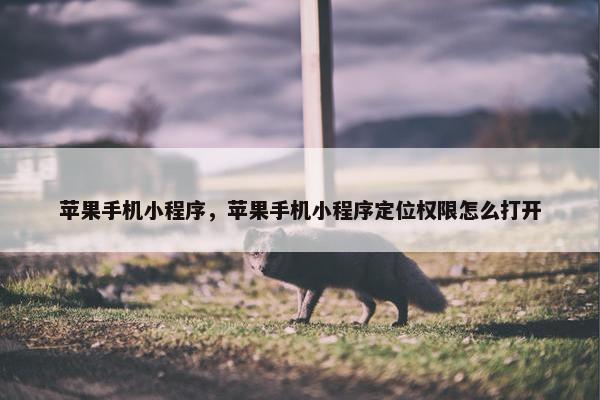 苹果手机小程序，苹果手机小程序定位权限怎么打开