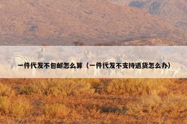 一件代发不包邮怎么算（一件代发不支持退货怎么办）