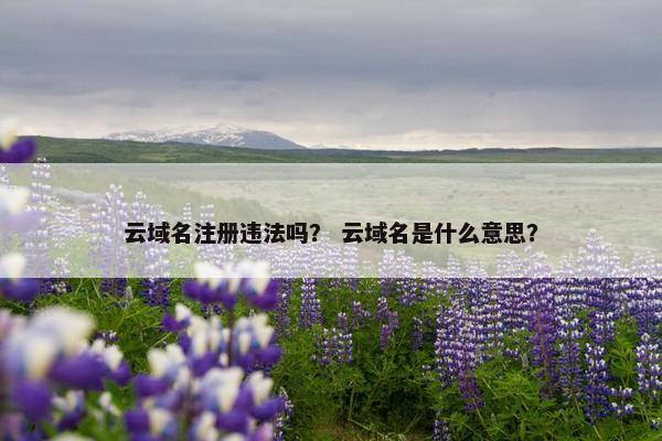 云域名注册违法吗？ 云域名是什么意思？
