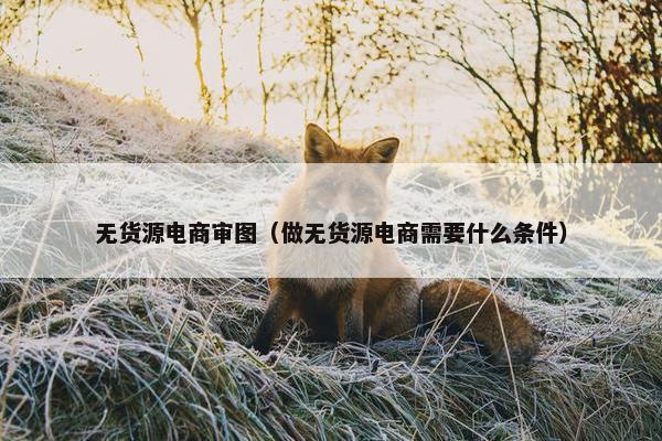 无货源电商审图（做无货源电商需要什么条件）