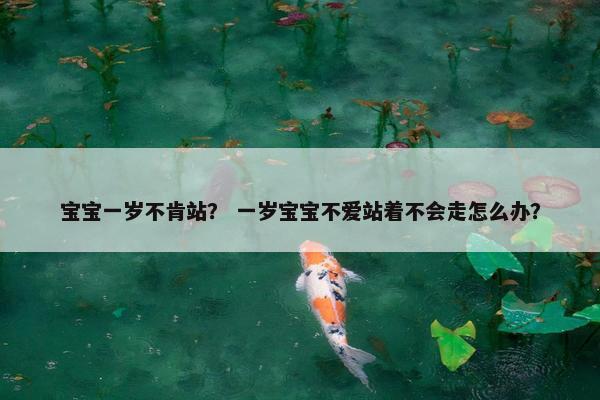 宝宝一岁不肯站？ 一岁宝宝不爱站着不会走怎么办？