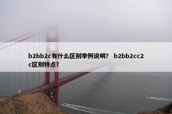 b2bb2c有什么区别举例说明？ b2bb2cc2c区别特点？