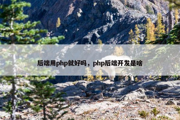 后端用php就好吗，php后端开发是啥