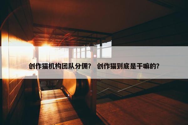创作猫机构团队分佣？ 创作猫到底是干嘛的？
