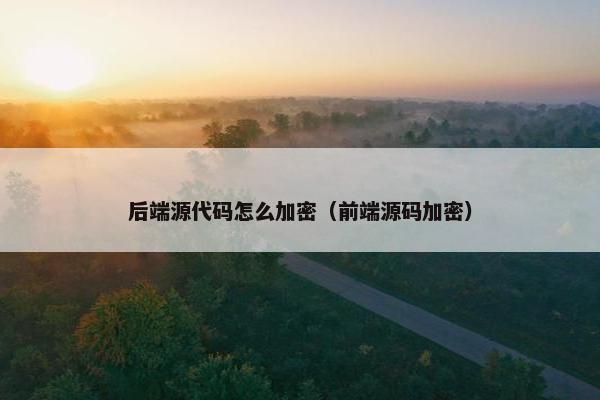 后端源代码怎么加密（前端源码加密）