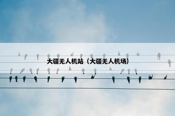 大疆无人机站（大疆无人机场）