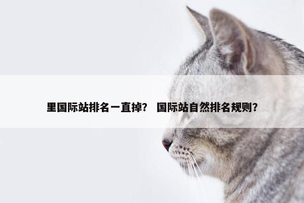 里国际站排名一直掉？ 国际站自然排名规则？