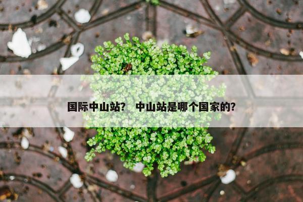 国际中山站？ 中山站是哪个国家的？