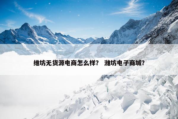 维坊无货源电商怎么样？ 潍坊电子商城？
