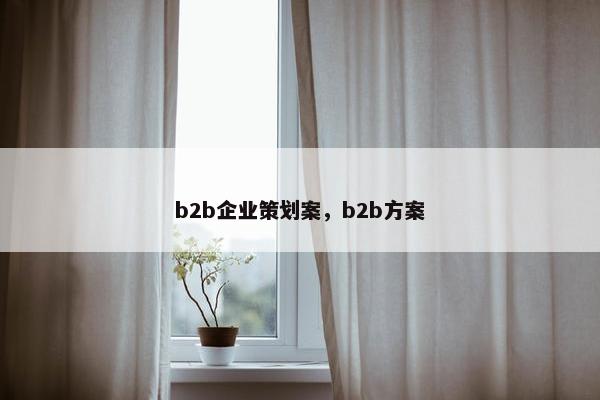 b2b企业策划案，b2b方案
