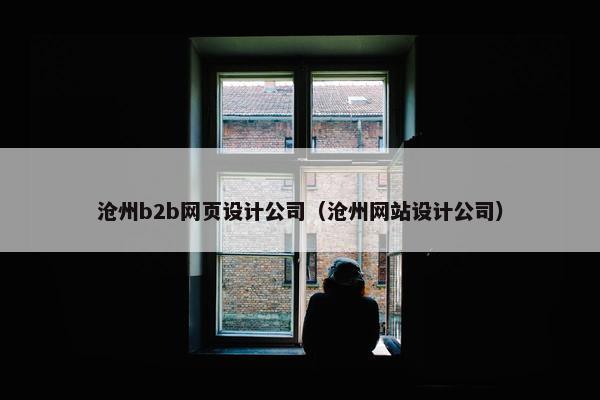 沧州b2b网页设计公司（沧州网站设计公司）