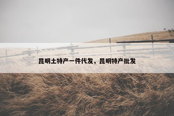 昆明土特产一件代发，昆明特产批发
