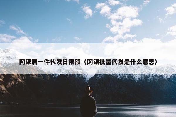 网银盾一件代发日限额（网银批量代发是什么意思）