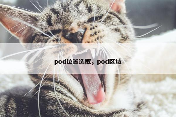 pod位置选取，pod区域