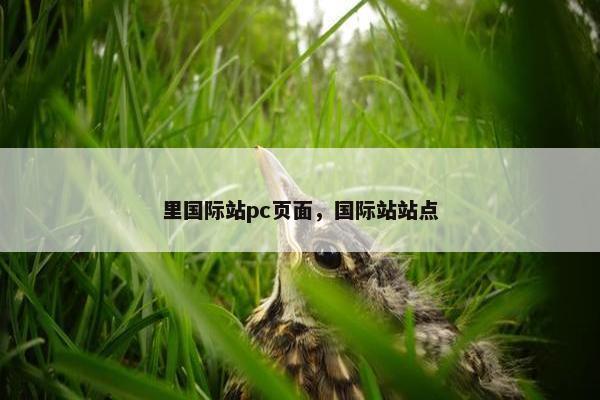 里国际站pc页面，国际站站点