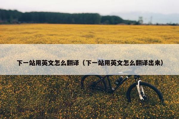 下一站用英文怎么翻译（下一站用英文怎么翻译出来）