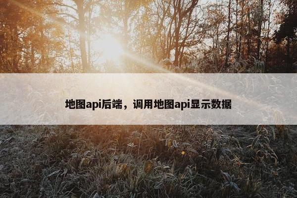 地图api后端，调用地图api显示数据