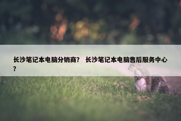 长沙笔记本电脑分销商？ 长沙笔记本电脑售后服务中心？